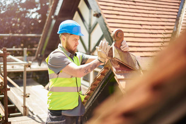 Best Flat Roof Repair Services  in Walkerton, IN